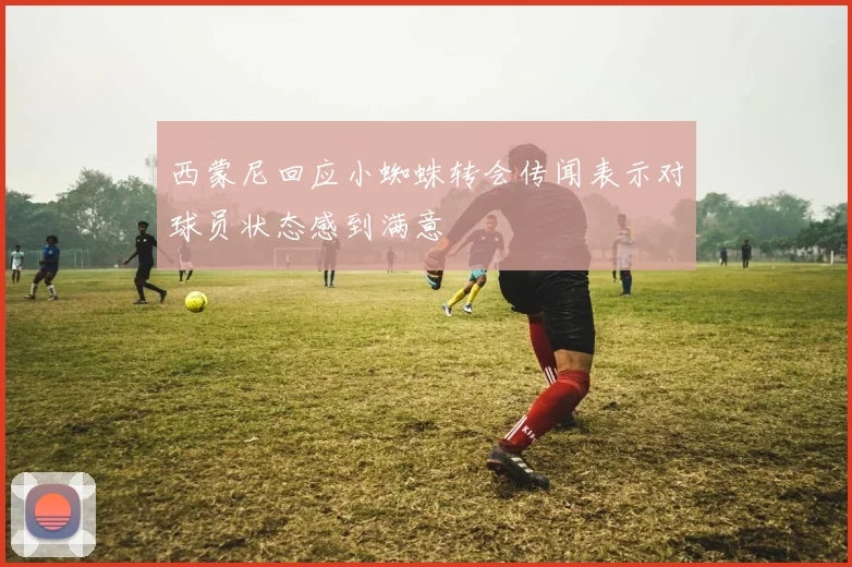 西蒙尼回应小蜘蛛转会传闻表示对球员状态感到满意