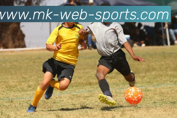 MK体育品牌故事