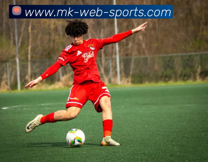 MK体育服务体系